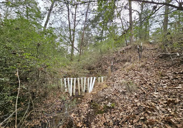 image of Tbd Jackrabbit Lane Lane, Bryan, TX 77808 | MLS# 71440508