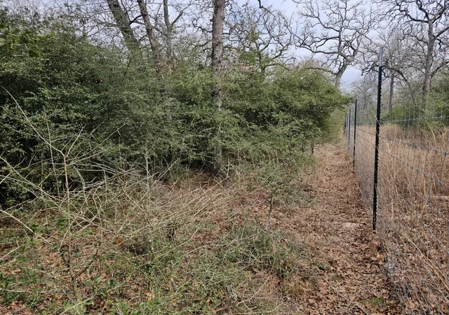 image of Tbd Jackrabbit Lane Lane, Bryan, TX 77808 | MLS# 71440508