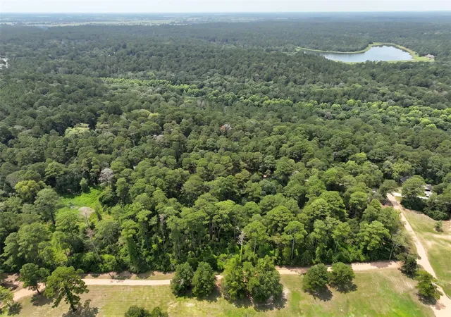 4th image of Tba 3340 Cr 325, Navasota, TX 77868 | MLS# 30668390