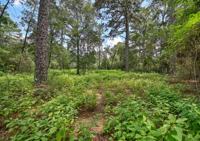 5th image of Tba 3340 Cr 325, Navasota, TX 77868 | MLS# 30668390