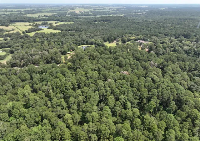 7th image of Tba 3340 Cr 325, Navasota, TX 77868 | MLS# 30668390