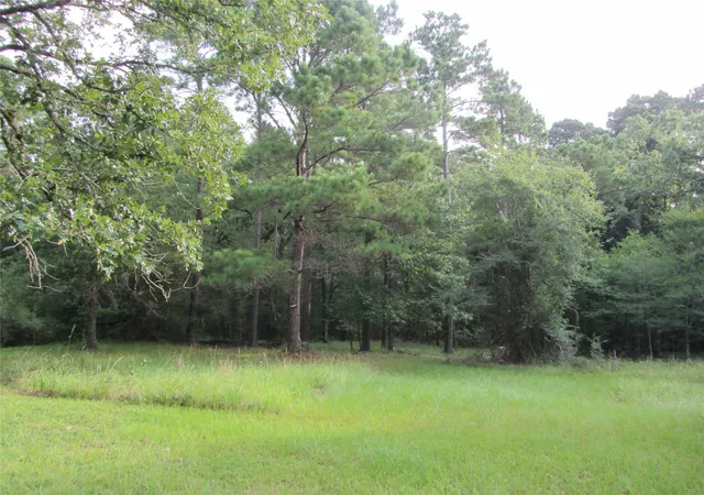 Photo 1 of Land for sale at 53 Brumley Rd, Huntsville, TX 77320 | MLS# 85103079 | Listing updated on 2026-09-03