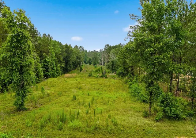 Land for sale at 4578 N Duck Crk Rd, Cleveland, TX 77328 | MLS# 42165785