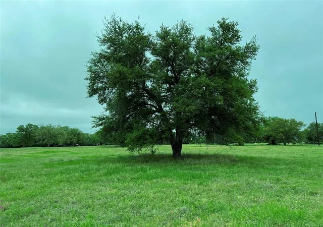 Photo 2 of Land for sale at Lot 3 Pvt 1671, Hallettsville, TX 77964 | MLS# 92766186 | Listing updated on 2026-05-18