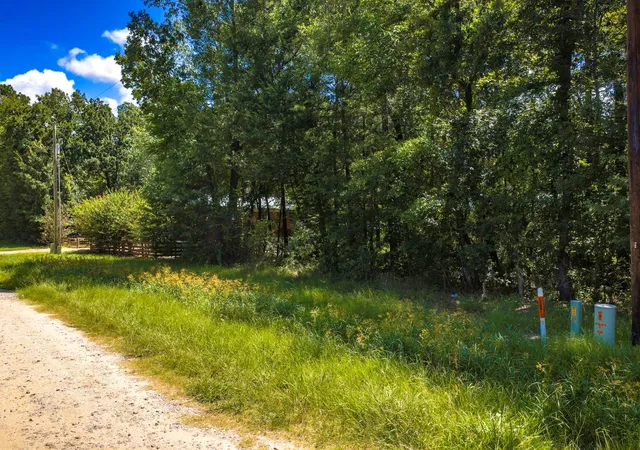 Photo 1 of Land for sale at Tbd Lots 21 & 22 Terlingua, Livingston, TX 77351 | MLS# 18421744 | Listing updated on 2026-07-06