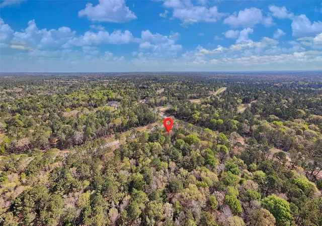 Photo 3 of Land for sale at 111 Rustic Ranch Dr, New Waverly, TX 77358 | MLS# 74581601 | Listing updated on 2026-05-05