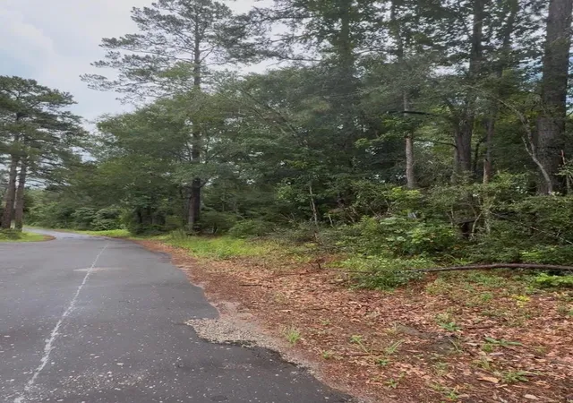 2nd image of Tbd Private Road 6328, Jasper, TX 75951 | MLS# 10301884