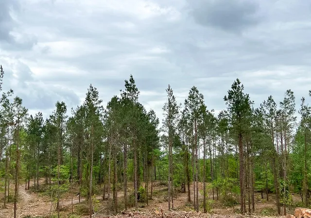 2nd image of 16 Cr 2140, Crockett, TX 75835 | MLS# 25087057