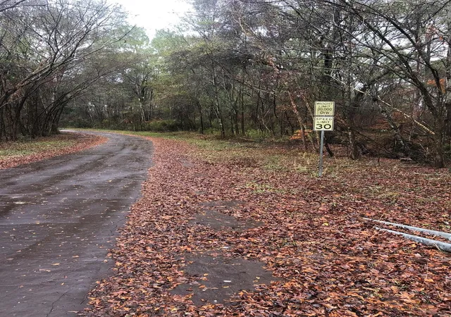 Photo 3 of Land for sale at 20894 Franklin Dr, Troup, TX 75789 | MLS# 86712691 | Listing updated on 2026-08-20