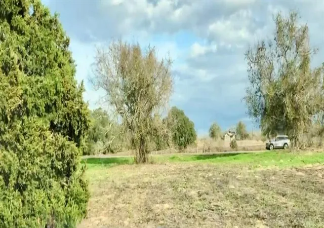 3rd image of Tbd Us Hwy 77, Hallettsville, TX 77964 | MLS# 45279817