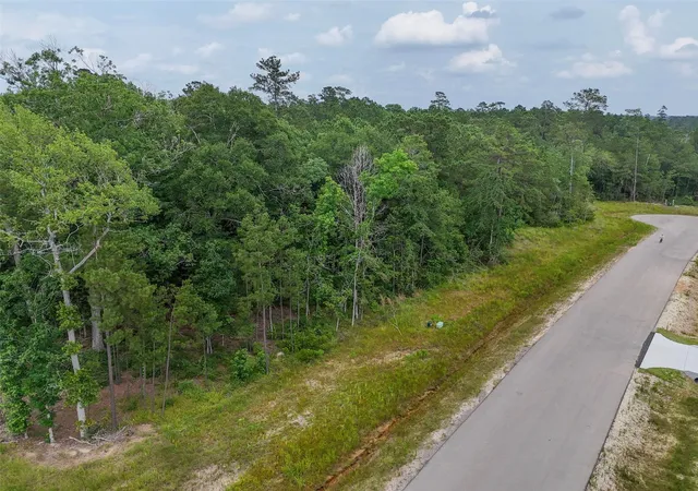 Photo 4 of Land for sale at 104 Eagle Run Rd, Willis, TX 77378 | MLS# 89235271 | Listing updated on 2026-07-17