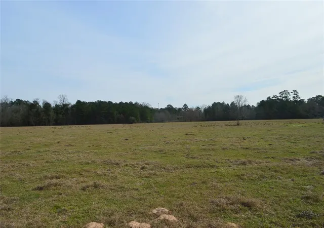 Photo 2 of Land for sale at Tbd000 Wiggins, Conroe, TX 77302 | MLS# 37428691 | Listing updated on 2025-11-03