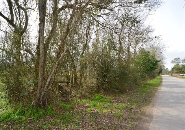Photo 3 of Land for sale at Tbd000 Wiggins, Conroe, TX 77302 | MLS# 37428691 | Listing updated on 2025-11-03