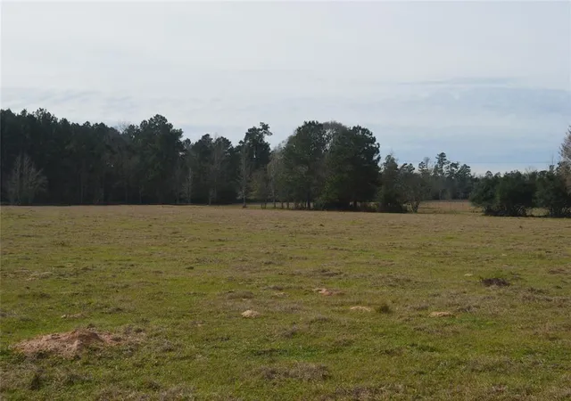 Photo 3 of Land for sale at Tbd000 Wiggins, Conroe, TX 77302 | MLS# 37428691 | Listing updated on 2025-11-03