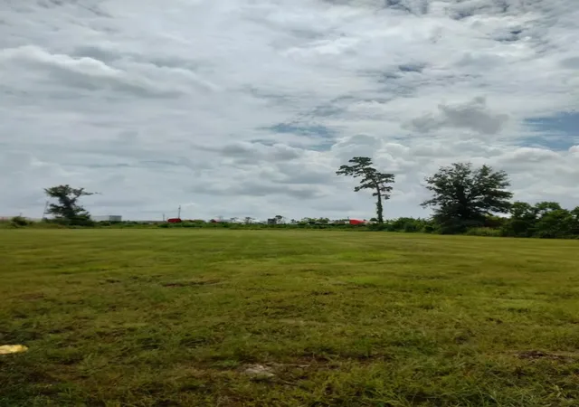Photo 1 of Land for sale at 6137 Fitzhugh, Houston, TX 77028 | MLS# 14033214 | Listing updated on 2026-07-27