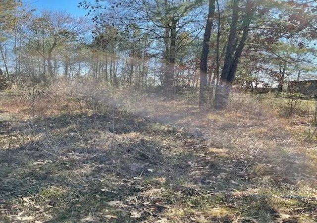 Photo 4 of Land for sale at 2276 County Road 3405 Dr, Cleveland, TX 77327 | MLS# 36005003 | Listing updated on 2026-06-30