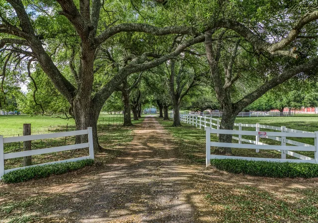 Photo 11 of Land for sale at 18935 Fm 2920 Rd, Tomball, TX 77377 | MLS# 20514684 | Listing updated on 2026-04-08