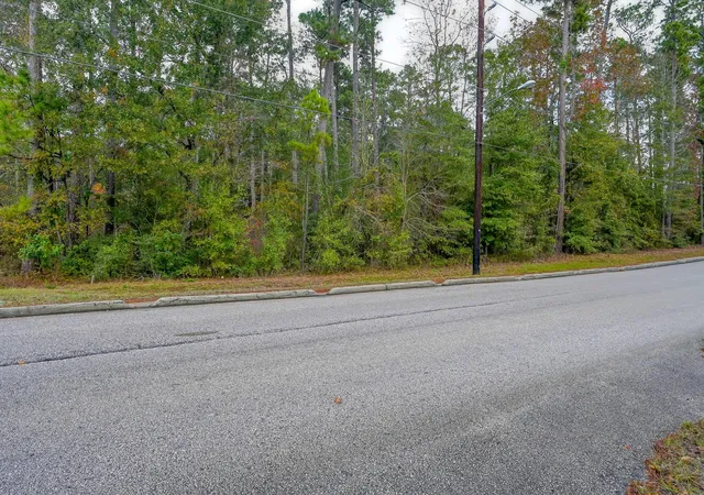 Photo 2 of Land for sale at 0 Foster Dr, Conroe, TX 77301 | MLS# 24568188 | Listing updated on 2026-07-04