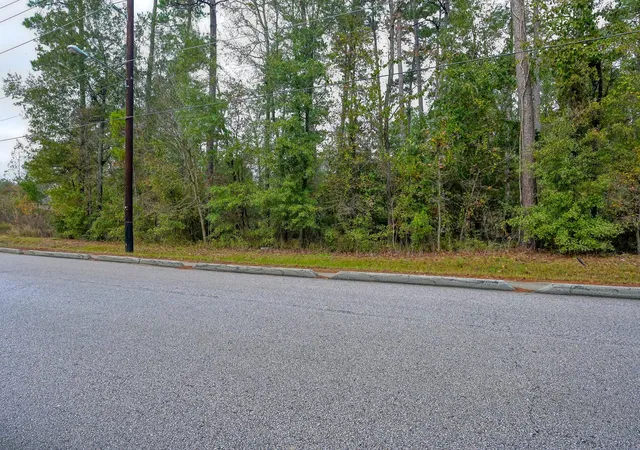 Photo 3 of Land for sale at 0 Foster Dr, Conroe, TX 77301 | MLS# 24568188 | Listing updated on 2026-07-04