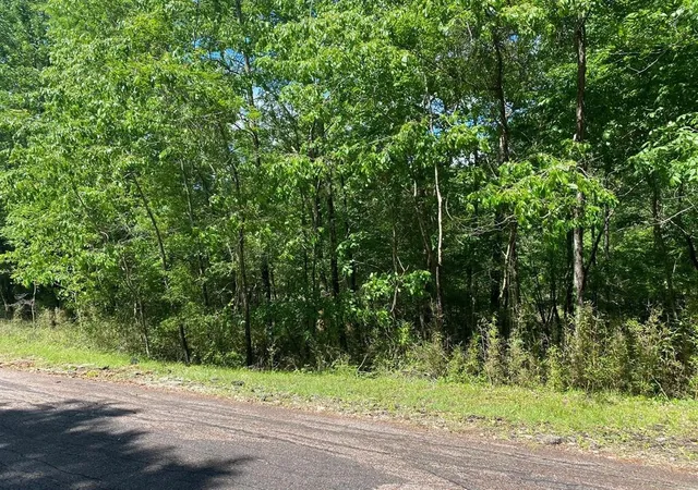 Photo 3 of Land for sale at 22 S Pine Harbour Dr, Coldspring, TX 77331 | MLS# 11863621 | Listing updated on 2026-10-07