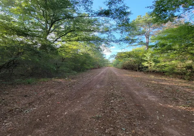 3rd image of Tbd Grey Wolf Dr, Hempstead, TX 77445 | MLS# 14618420