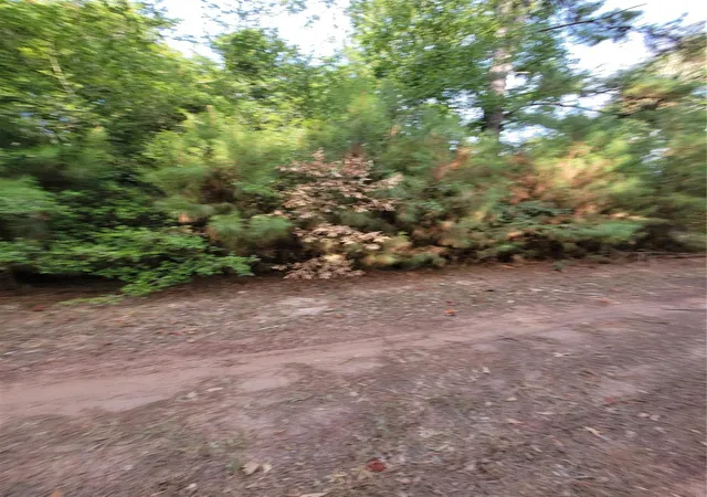 4th image of Tbd Grey Wolf Dr, Hempstead, TX 77445 | MLS# 14618420