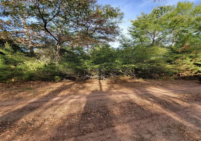 5th image of Tbd Grey Wolf Dr, Hempstead, TX 77445 | MLS# 14618420