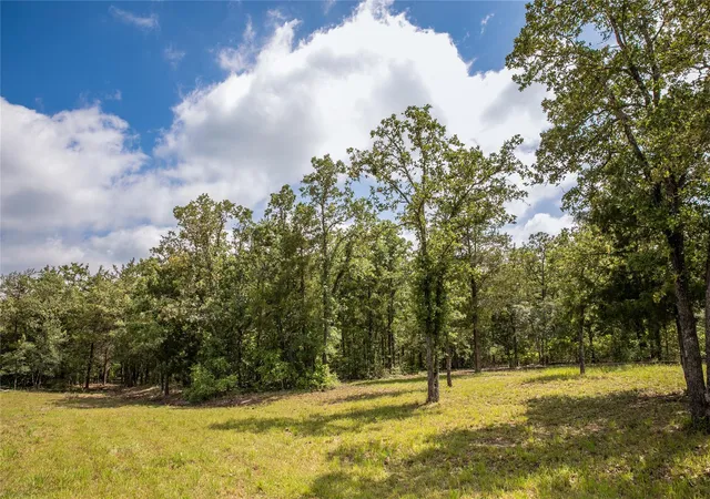 Photo 2 of Land for sale at 12899 Young Ln, Carmine, TX 78932 | MLS# 53254468 | Listing updated on 2026-09-01