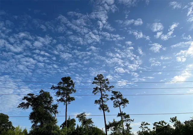 Photo 2 of Land for sale at 0 Garrett Rd, Houston, TX 77044 | MLS# 87262343 | Listing updated on 2026-07-24