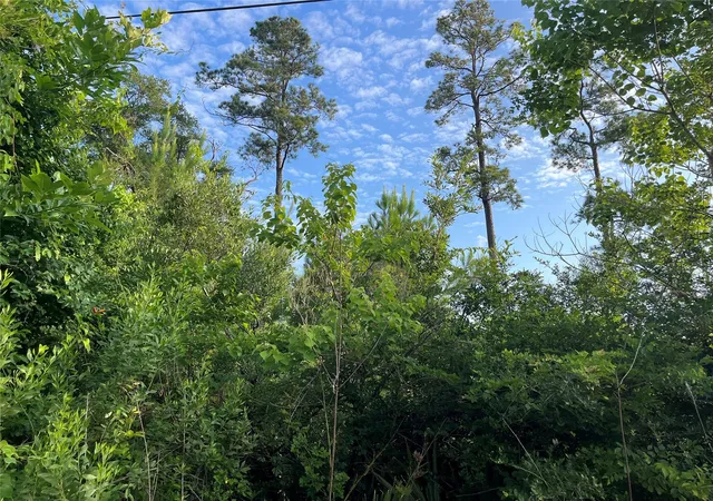 Photo 4 of Land for sale at 0 Garrett Rd, Houston, TX 77044 | MLS# 87262343 | Listing updated on 2026-07-24