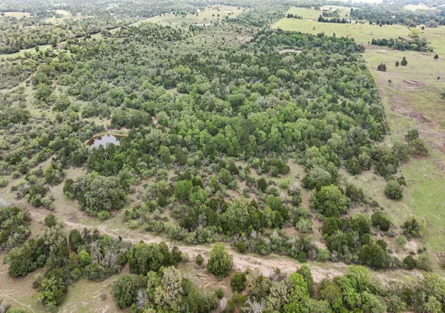 Photo 2 of Land for sale at Tbd Tobias Rd, Columbus, TX 78934 | MLS# 84611880 | Listing updated on 2026-05-04