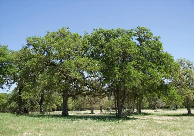 Photo 2 of Land for sale at 1035 Old Sayers Rd, Elgin, TX 78621 | MLS# 53334358 | Listing updated on 2026-06-23