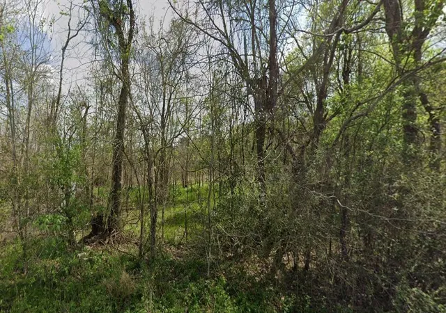 Photo 1 of Land for sale at 831 Drews Landing Rd, Goodrich, TX 77335 | MLS# 96374902 | Listing updated on 2026-07-24