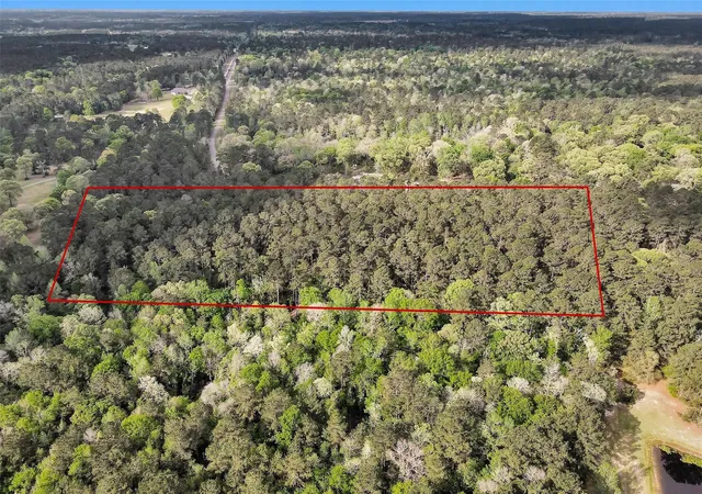Photo 2 of Land for sale at Tbd Cedar Ln Loop, Willis, TX 77378 | MLS# 45613233 | Listing updated on 2026-04-08