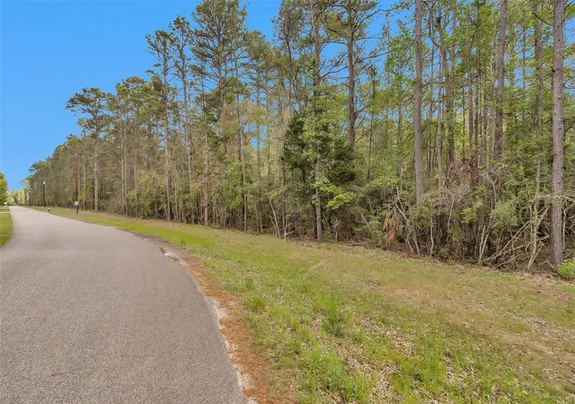Photo 4 of Land for sale at Tbd Cedar Ln Loop, Willis, TX 77378 | MLS# 45613233 | Listing updated on 2026-04-08