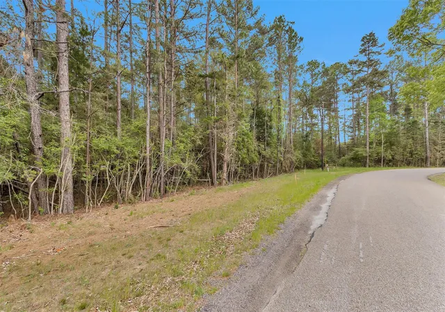 Photo 8 of Land for sale at Tbd Cedar Ln Loop, Willis, TX 77378 | MLS# 45613233 | Listing updated on 2026-04-08