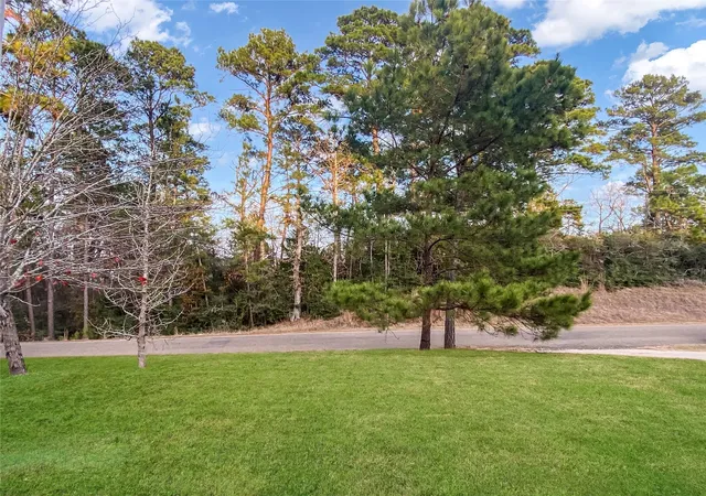 3rd image of 254 E Sunset Dr, Onalaska, TX 77360 | MLS# 69647499