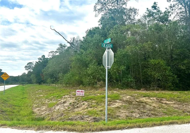 Photo 3 of Land for sale at 1235 County Road 6324, Dayton, TX 77535 | MLS# 12739044 | Listing updated on 2026-08-17