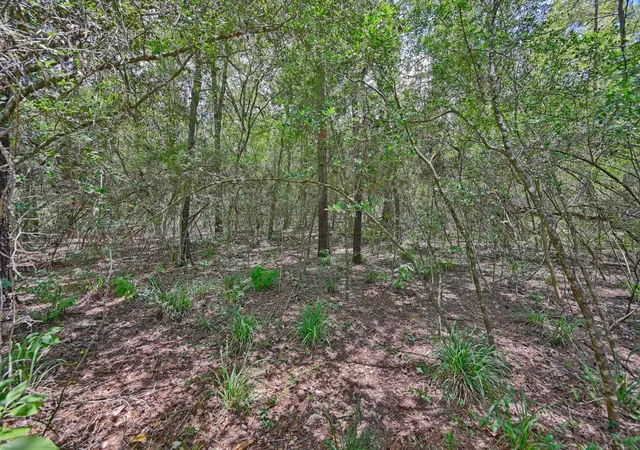 Homes for sale in Navasota, TX | 16893 Whippoorwill Rd, Navasota, TX 77868 | MLS# 68436472