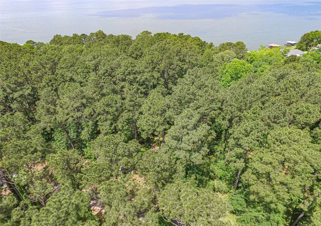 5th image of Tbd Cedar Ln, Livingston, TX 77351 | MLS# 82197547
