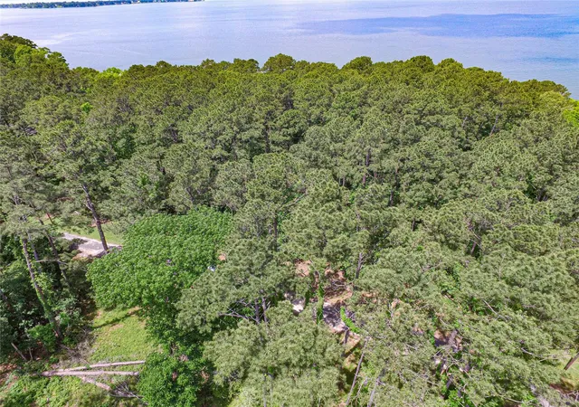 6th image of Tbd Cedar Ln, Livingston, TX 77351 | MLS# 82197547