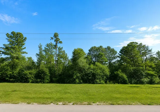 Photo 3 of Land for sale at 110 Coyote Run, Willis, TX 77378 | MLS# 75895470 | Listing updated on 2026-10-05