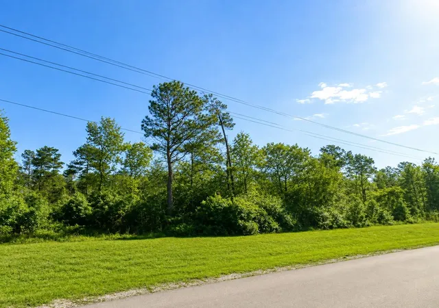 Photo 3 of Land for sale at 110 Coyote Run, Willis, TX 77378 | MLS# 75895470 | Listing updated on 2026-10-05