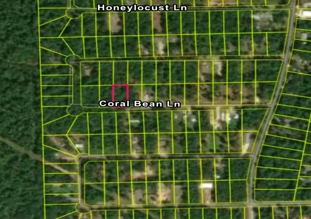 Homes for sale in Plantersville, TX | Tbd Coral Bean Ln, Plantersville, TX 77363 | MLS# 96895735