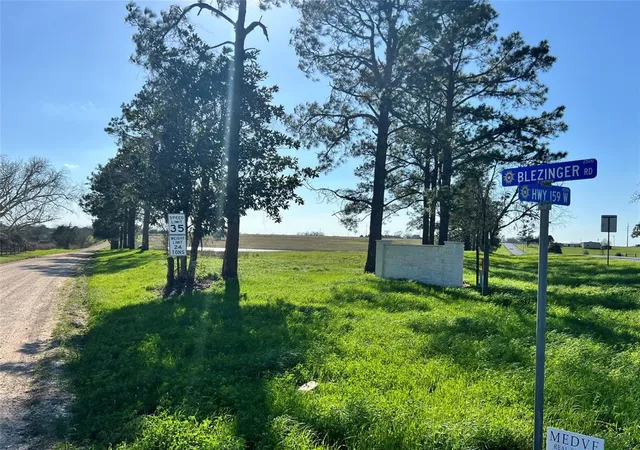Photo 1 of Land for sale at 001 Blezinger Rd, New Ulm, TX 78950 | MLS# 54501275 | Listing updated on 2026-09-02