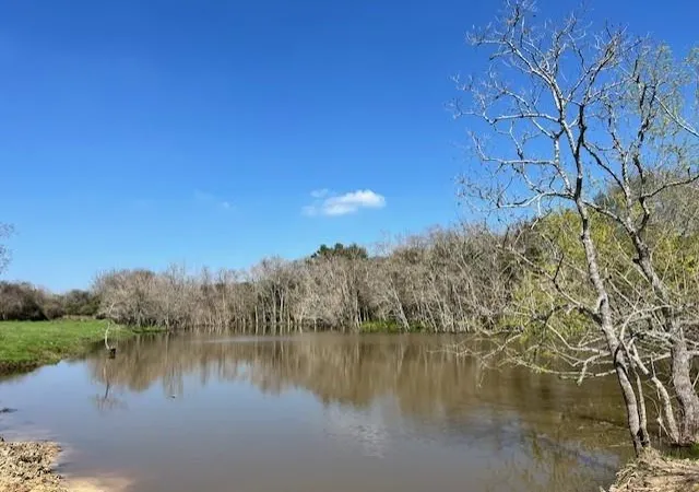 Photo 2 of Land for sale at 001 Blezinger Rd, New Ulm, TX 78950 | MLS# 54501275 | Listing updated on 2026-09-02
