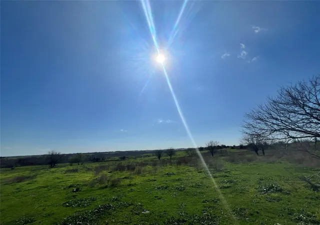 Photo 3 of Land for sale at 001 Blezinger Rd, New Ulm, TX 78950 | MLS# 54501275 | Listing updated on 2026-09-02