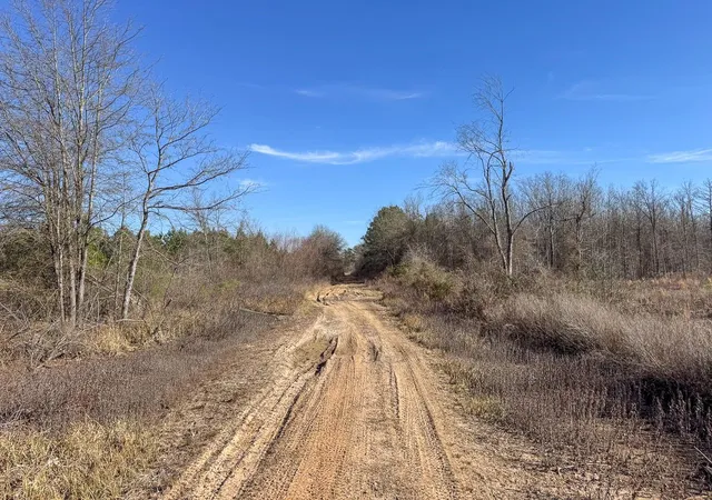 Homes for sale in Bagwell, TX | 1 Hwy 37, Bagwell, TX 75412 | MLS# 35080210