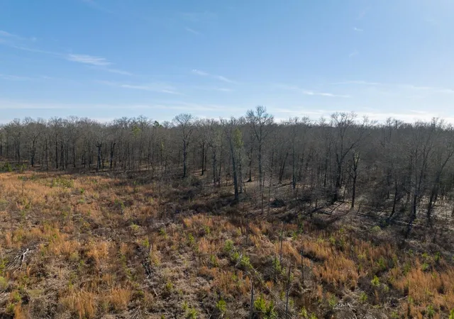 Homes for sale in Bagwell, TX | 1 Hwy 37, Bagwell, TX 75412 | MLS# 35080210