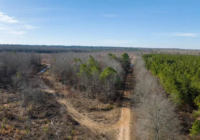 Homes for sale in Bagwell, TX | 1 Hwy 37, Bagwell, TX 75412 | MLS# 35080210